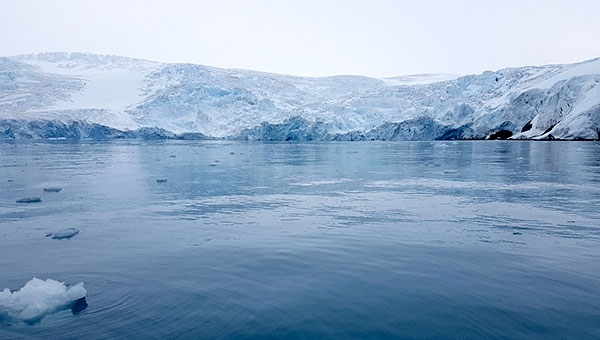Polar Environmental
